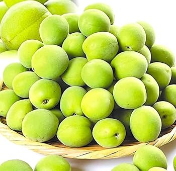 Amazon | 特秀 青梅（豊後梅） 青森産 大粒 約5kg L-3L混合